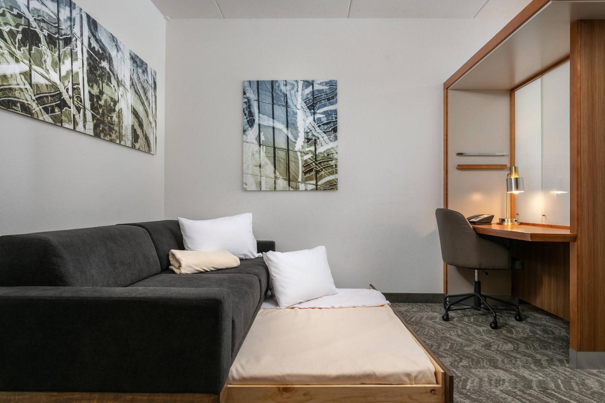 Springhill Suites By Marriott Downtown Chattanooga/Cameron Harbor Экстерьер фото